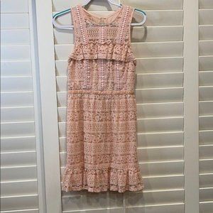 Disney Blush Pink Lace Ruffle Dress